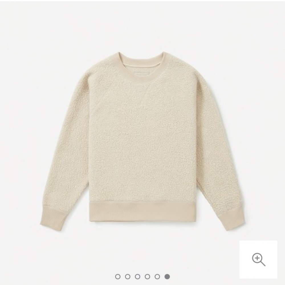 NWT Everlane ReNew Raglan Fleece Sweatshirt